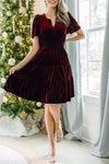 Always Choose Your V-neck Velvet Ruffled Pleated Panel Mini Dress