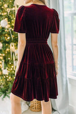 Always Choose Your V-neck Velvet Ruffled Pleated Panel Mini Dress